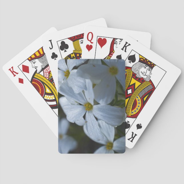 Phlox Poker Cards (Back)