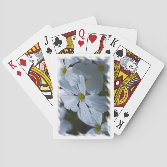 Phlox White Edge Poker Cards (Back)