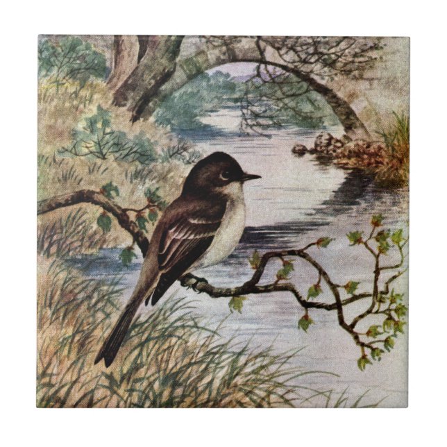 Phoebe and Stone Bridge Over Creek Tile (Front)