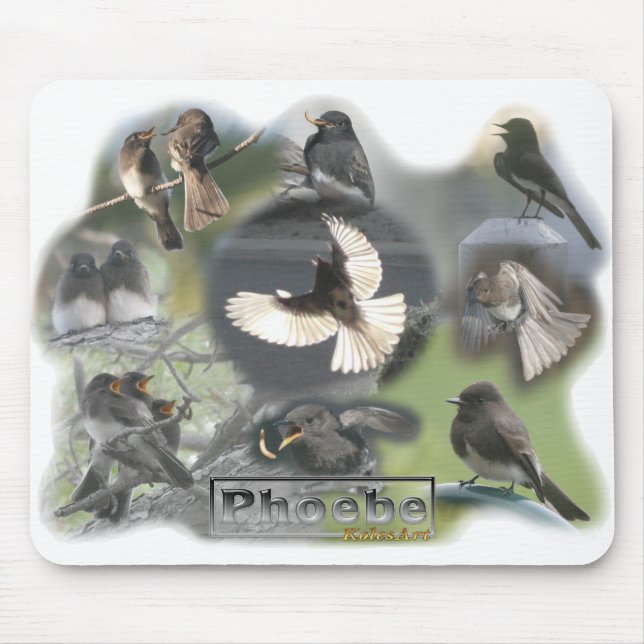 Phoebe Birds Photo Collage Mouse Pad (Front)