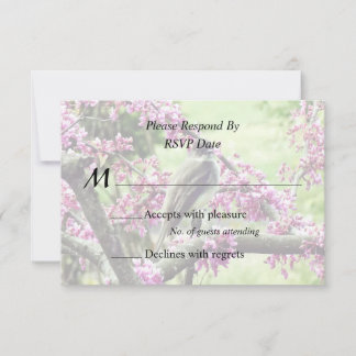 Phoebe in a Redbud Tree RSVP Card