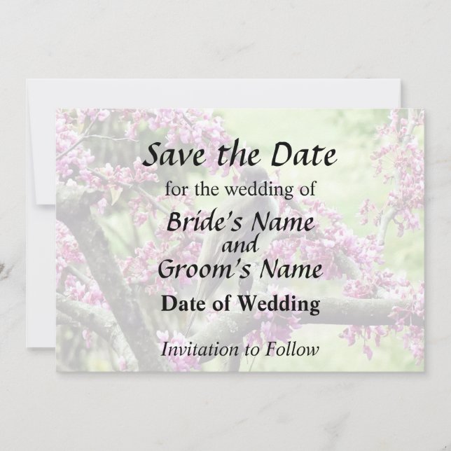 Phoebe in a Redbud Tree Save The Date (Front)