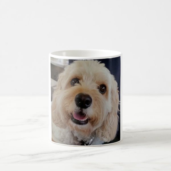 cavapoo themed gifts