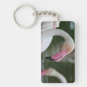 Phoenicopterus roseus keychain