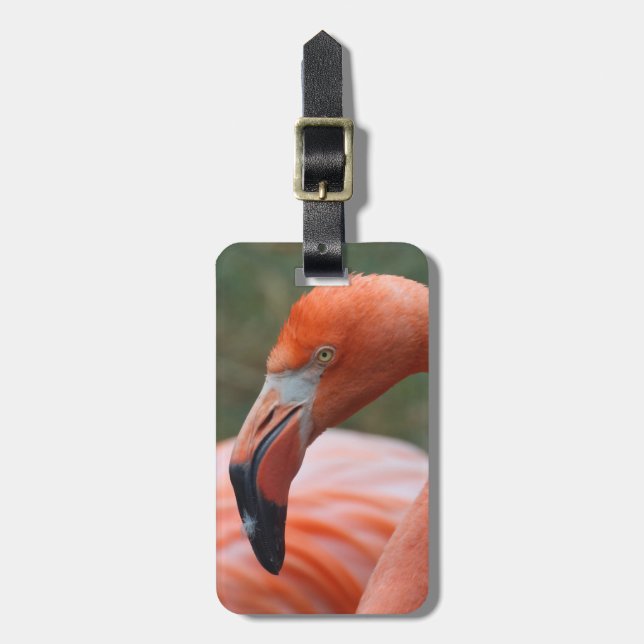 Phoenicopterus ruber luggage tag (Front Vertical)