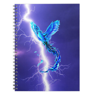 phoenix and lightning notebook