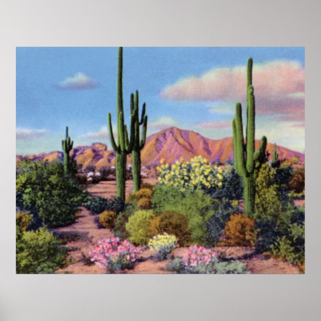 Phoenix Arizona Camelback Mountain Poster (Front)