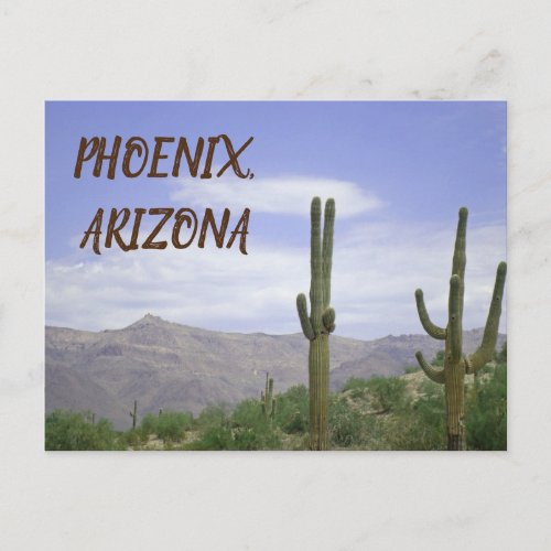 Phoenix Arizona Desert Photograph Saguaro Cactus Postcard