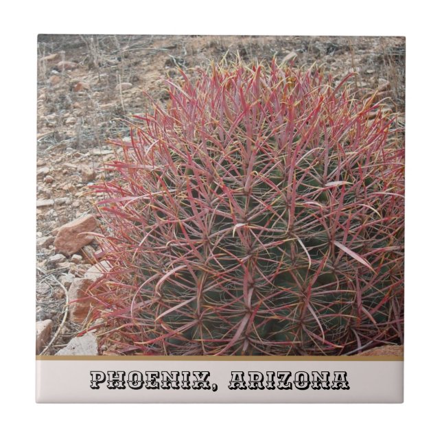 Phoenix Arizona Unique Red Barrel Cactus Photo Ceramic Tile (Front)
