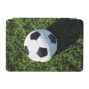 Phoenix, Arizona, USA. iPad Mini Cover