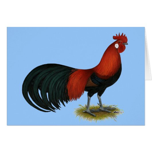 Phoenix:  BB Red Rooster Cards (Front Horizontal)