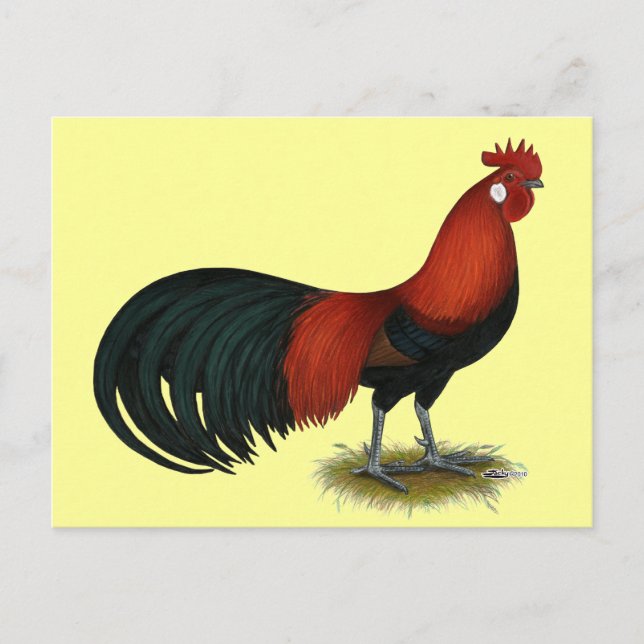 Phoenix:  BB Red Rooster Postcard (Front)