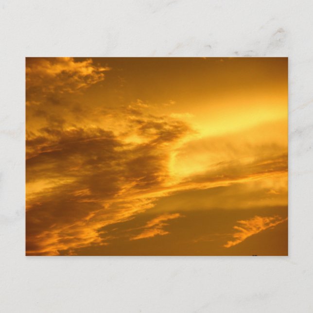 Phoenix Cloud Postcard (Front)