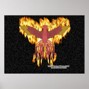 Phoenix Fire Poster