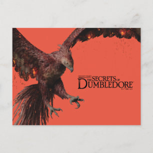 Phoenix Flying Graphic Postcard
