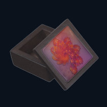 Phoenix Lament Premium Gift Box