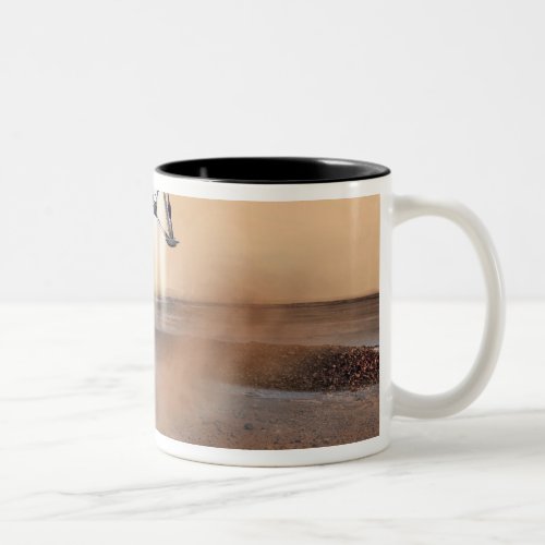 Phoenix Mars Lander Two_Tone Coffee Mug