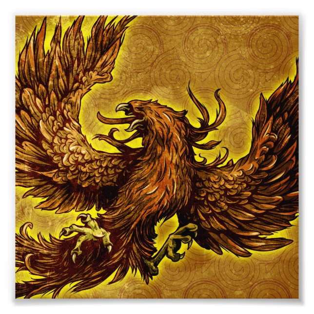 Phoenix Photo Print (Front)