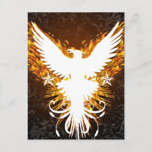 Phoenix Postcard