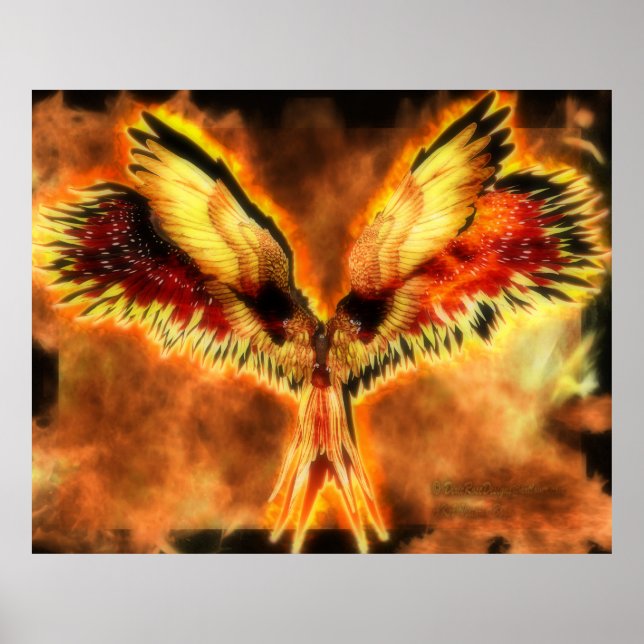 Phoenix Poster (Front)