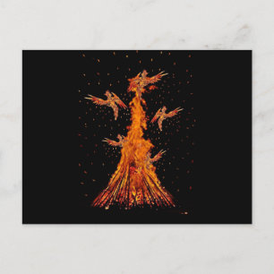 Phoenix Rebirth Postcard