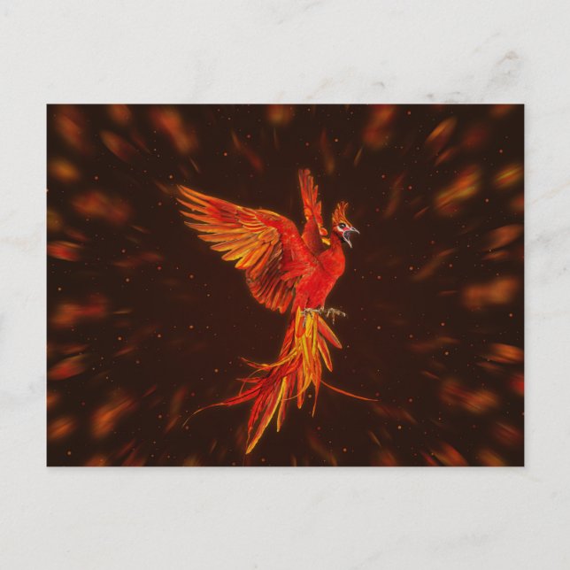Phoenix Rising - # 1 Holiday Postcard (Front)
