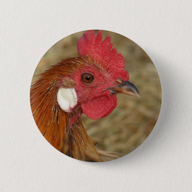 Phoenix Rooster Pinback Button (Front)