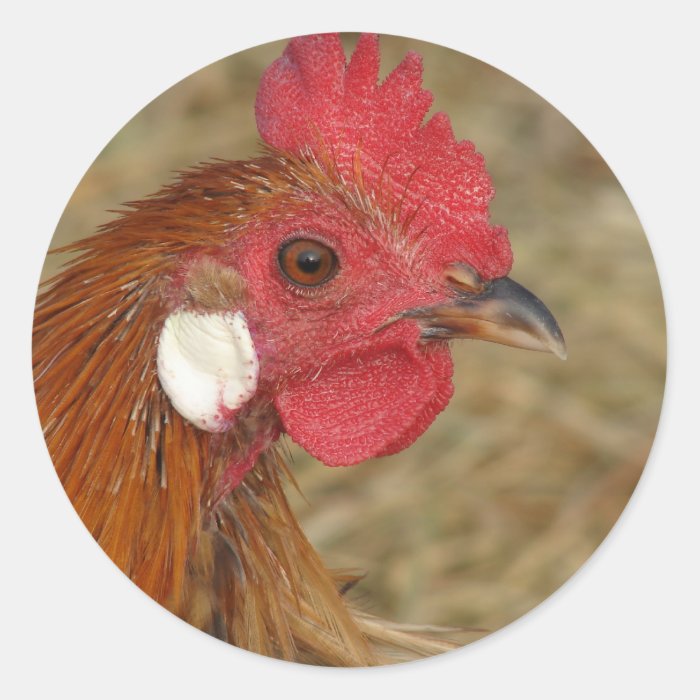 Phoenix Rooster Round Sticker