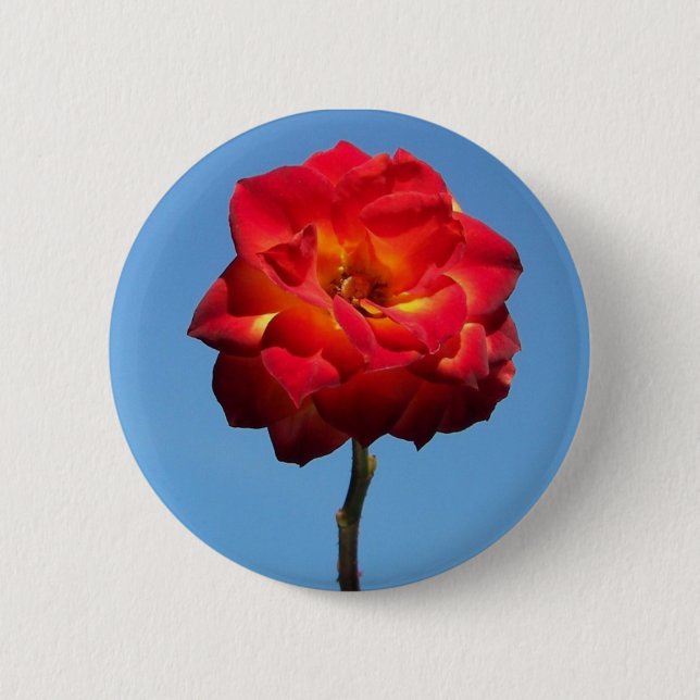 Phoenix Rose in the Sky-button Pinback Button (Front)