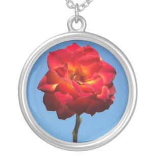 Phoenix Rose in the Sky-necklace Silver Plated Necklace