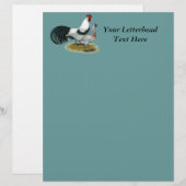 Phoenix: Silver Duckwing Pair (Front/Back)