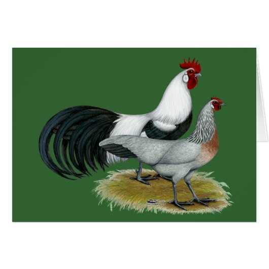 Phoenix: Silver Duckwing Pair Cards (Front Horizontal)