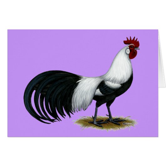 Phoenix: Silver Duckwing Rooster Cards (Front Horizontal)