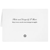 Phoenix - Tip Me Over and Pour Me Out (Back Horizontal)