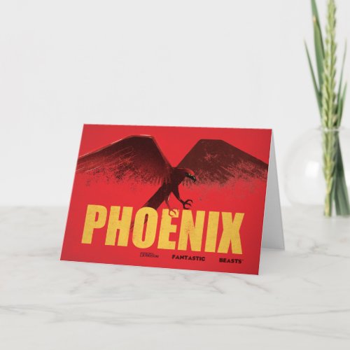 Phoenix Vingate Graphic Card