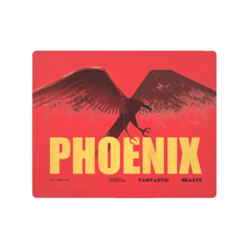 Phoenix Vingate Graphic Metal Print