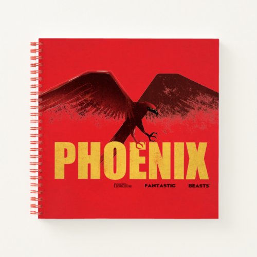 Phoenix Vingate Graphic Notebook