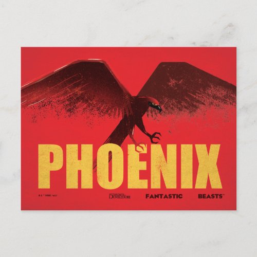 Phoenix Vingate Graphic Postcard