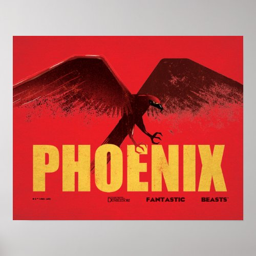 Phoenix Vingate Graphic Poster