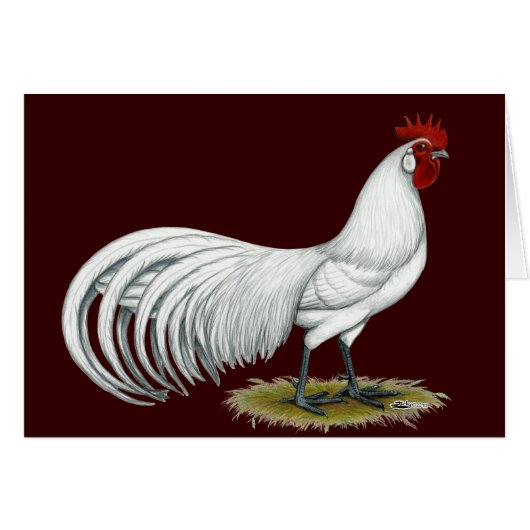 Phoenix: White Rooster Cards (Front Horizontal)