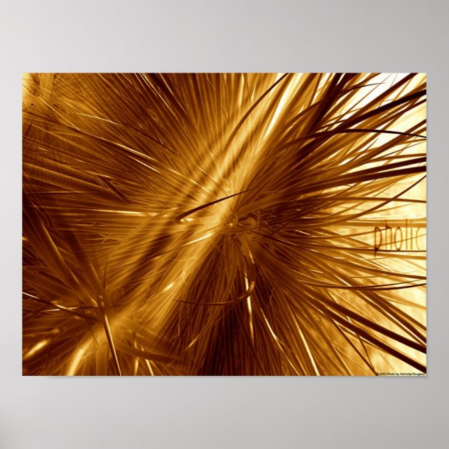 Pholic Poster (Front)