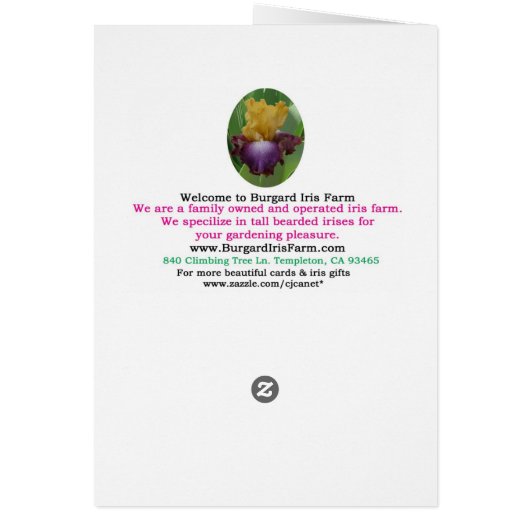 "PHONE BOOTH" blank card (Back)