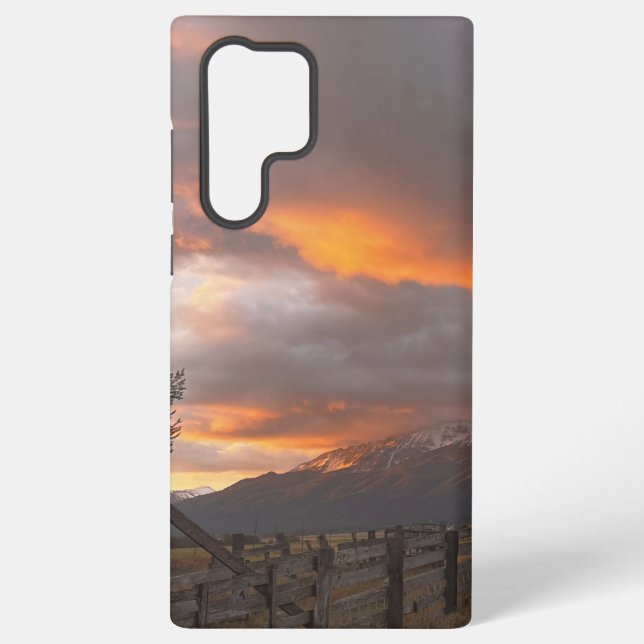 Phone Case (Back)