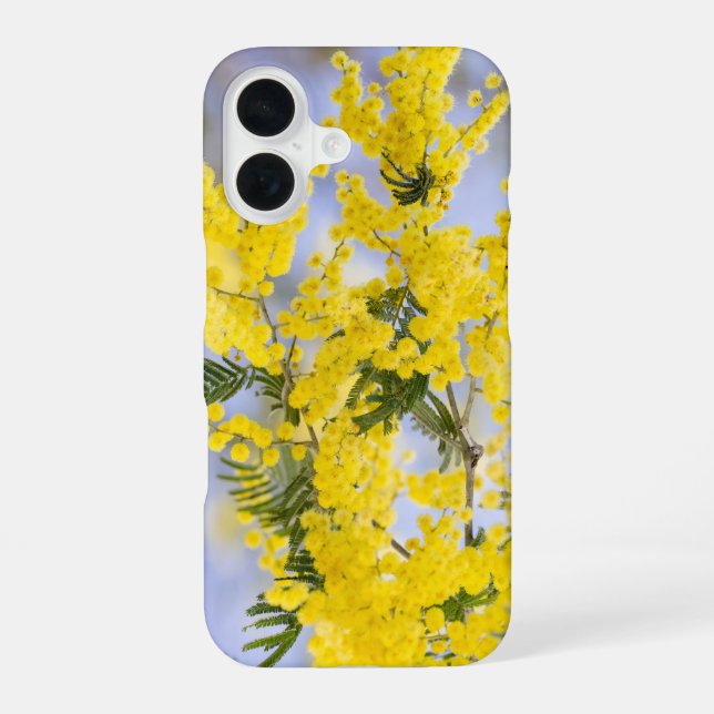Phone Case (Back)
