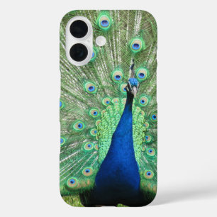 Phone Case - Proud Peacock