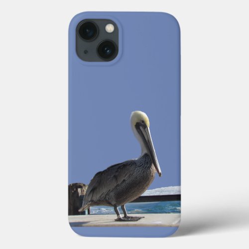 Phone Case _ Sunbathing Pelican