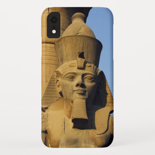 Phone Cases & Accessories (Back)
