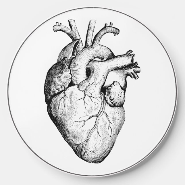 phone charger (Front)