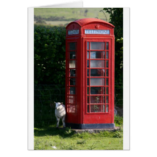 Phone home cards