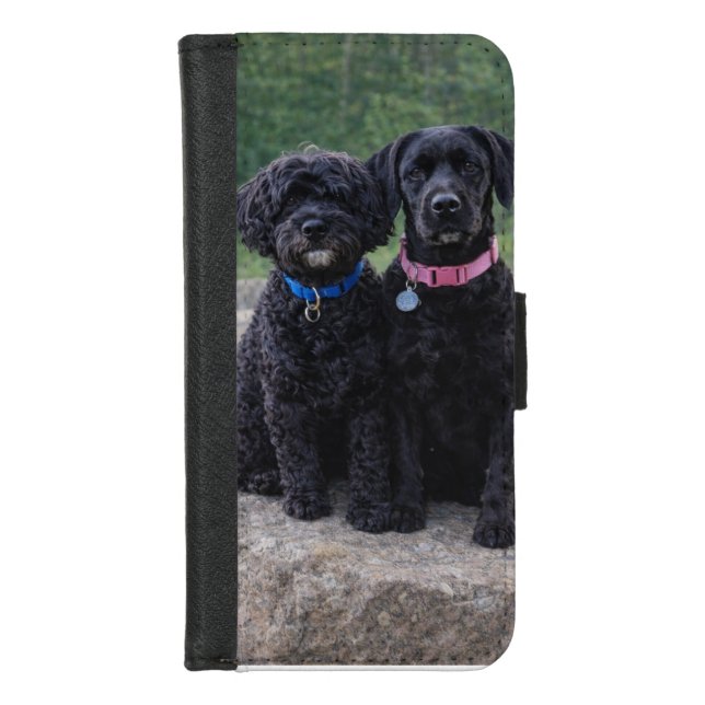 Phone Wallet Case Portuguese Water Dogs  (Front)